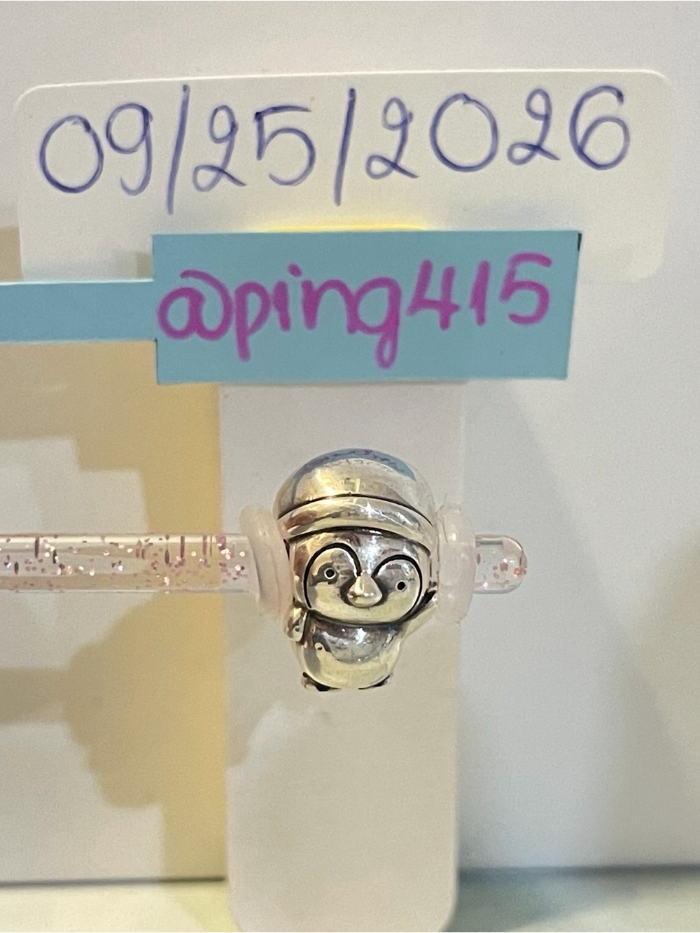 Pandora Christmas Penguin Charm